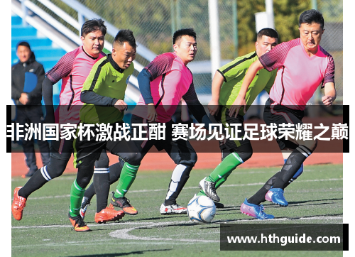 非洲国家杯激战正酣 赛场见证足球荣耀之巅